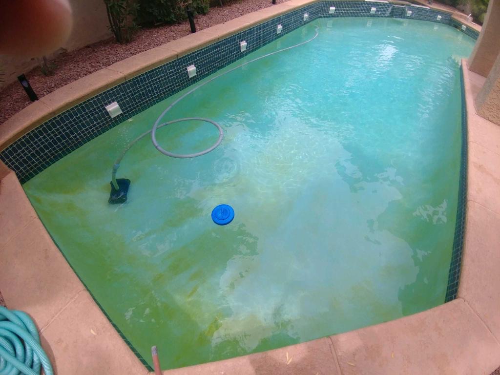 Green Pool - Before