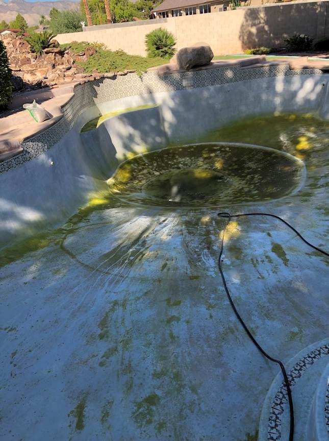 Green Pool Before