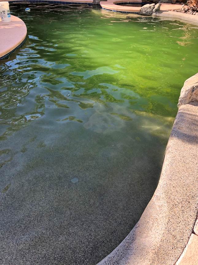 Green Pool - Before